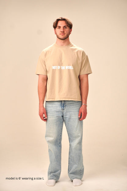 NOT OF THE WORLD - BOXY TEE